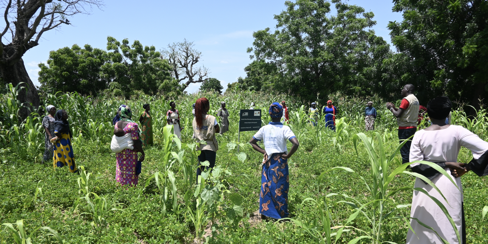 Hopeful Planet: Smallholder farmers in Askira/uba community who have received training on climate-smart agriculture practices from JRS>