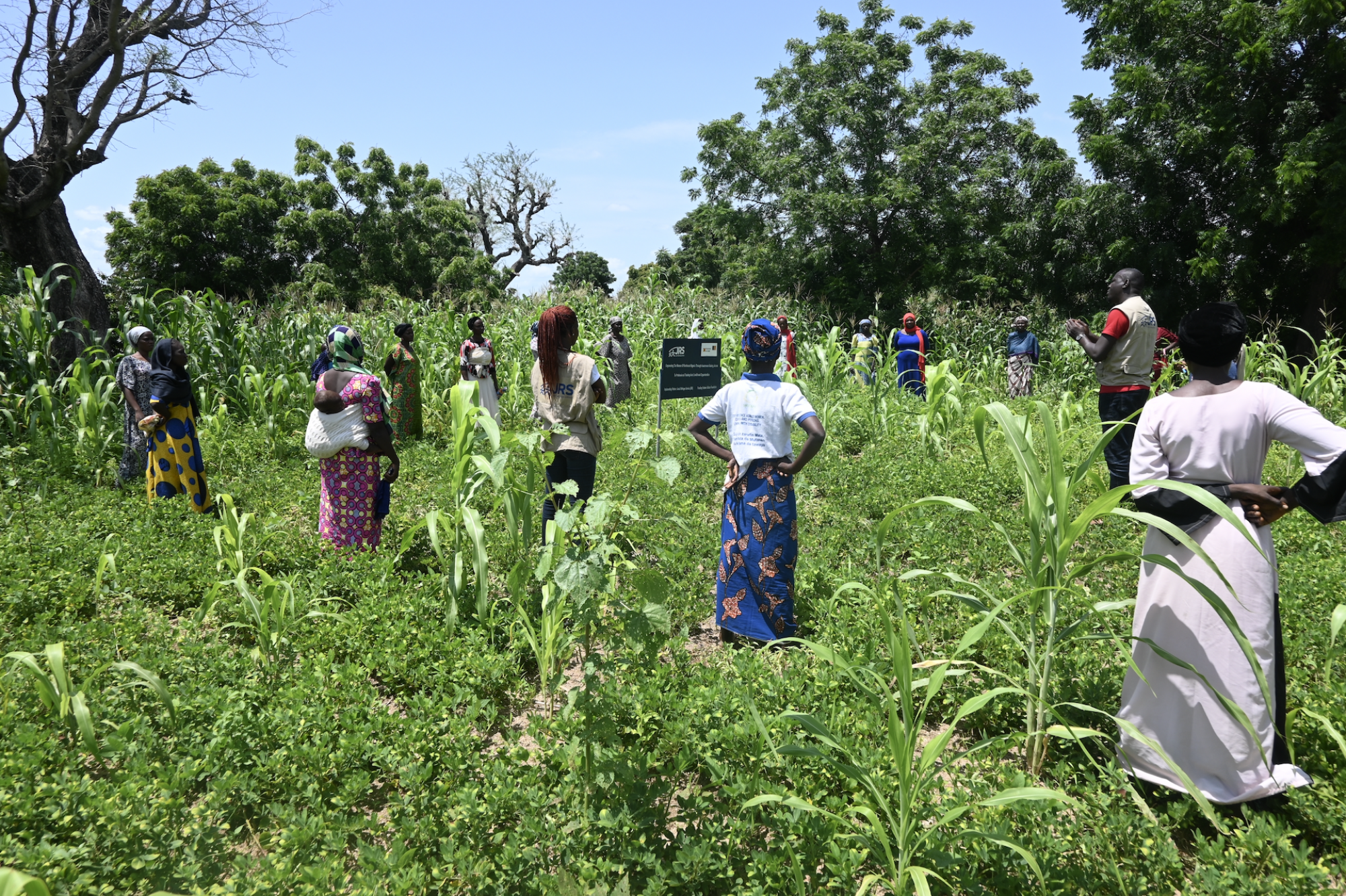 Hopeful Planet: Smallholder farmers in Askira/uba community who have received training on climate-smart agriculture practices from JRS>
